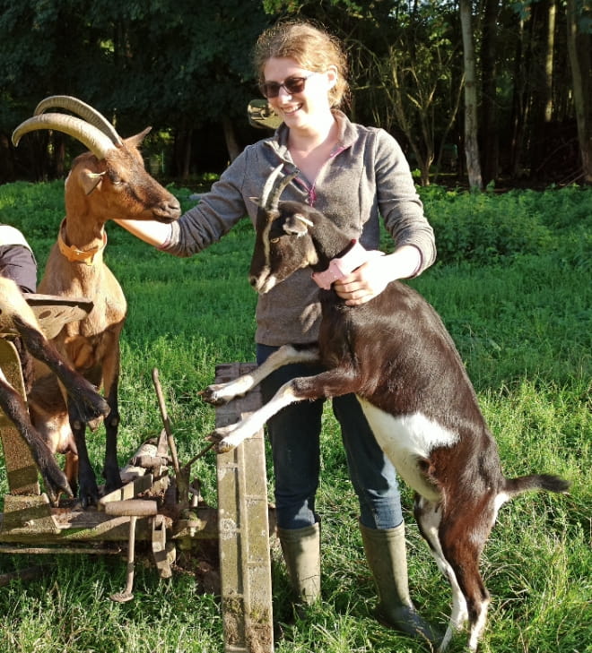 La ferme de Rachou à Roizy